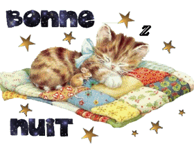 bonne nuit chat